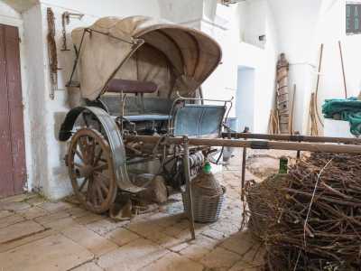 I proprietari ci conducono infine all�interno della masseria che ospita un vero museo della civilt� contadina...